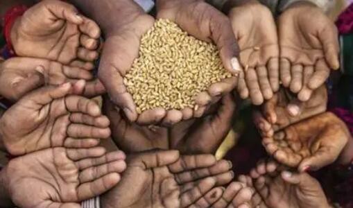 联合国报告：全球饥饿人口较疫情前增加1.22亿