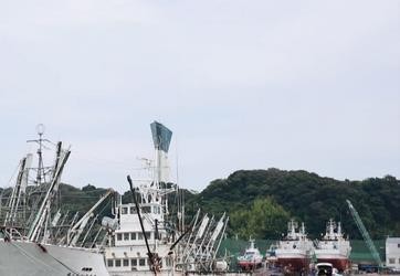 日本福岛渔民：绝对不相信所谓的“处理水”安全