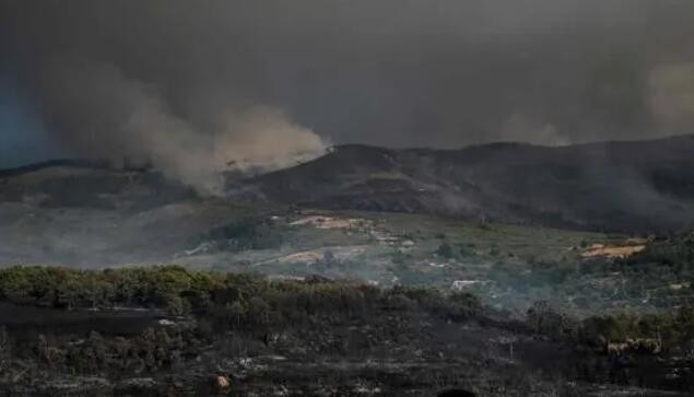 美国夏威夷毛伊岛野火遇难人数升至111人