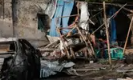 索马里总统府附近一餐厅遭爆炸袭击 已致7人遇难