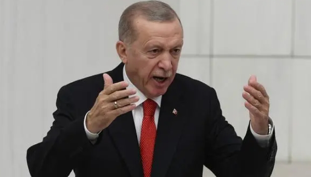 土耳其总统：土耳其对欧盟已没有任何期待