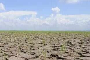 巴西亚马孙州遭遇严重旱情