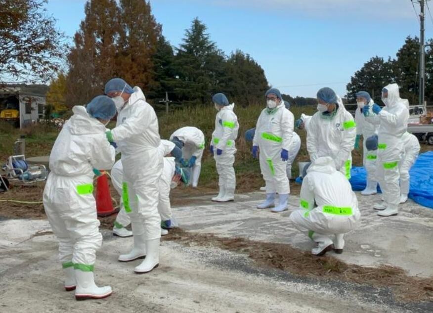 日本确认今年秋冬以来第二起禽流感疫情