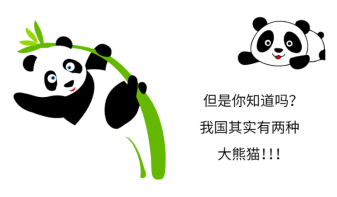 【图解】喳喳课堂：没想到吧！其实中国有两种大熊猫