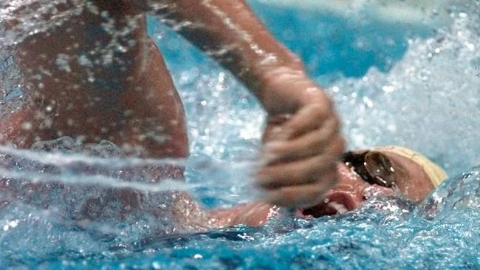两届奥运会金牌得主珀金斯当选澳泳协主席