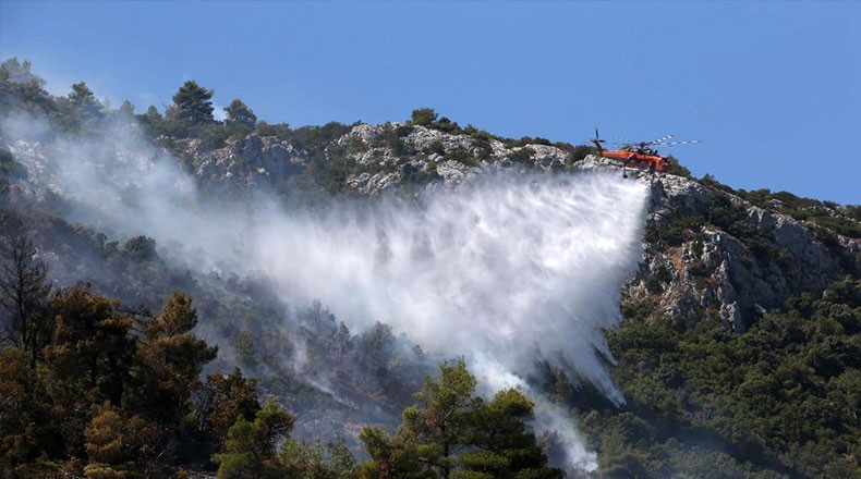 希腊雅典部分地区山火肆虐