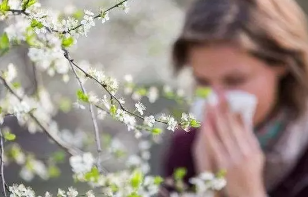今年花粉过敏症状眼睛先痒 该如何缓解症状