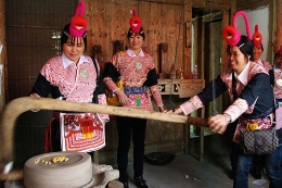 畲族乌饭节