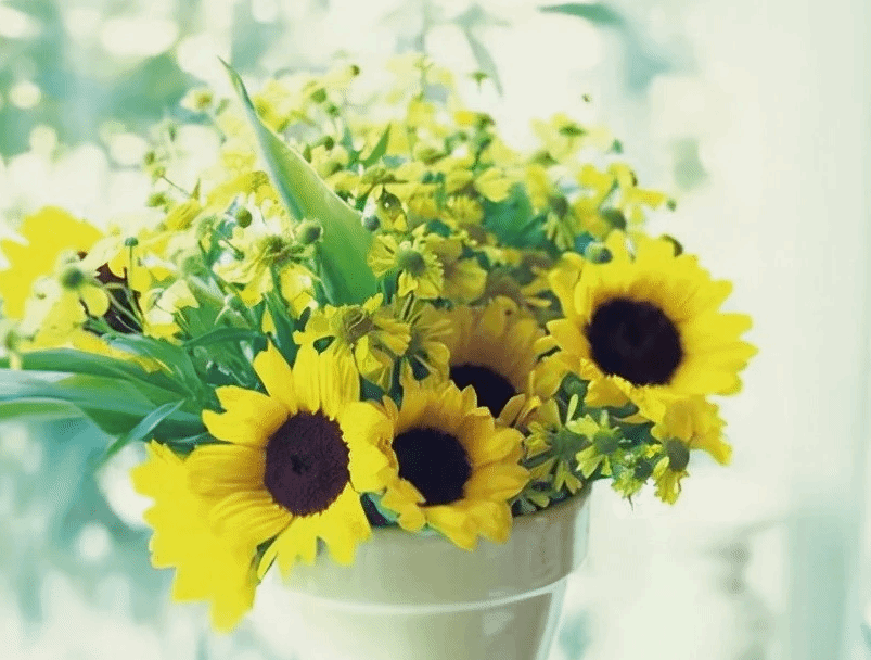 花开不是为了花落 而是为了开得更加灿烂 人生亦如此