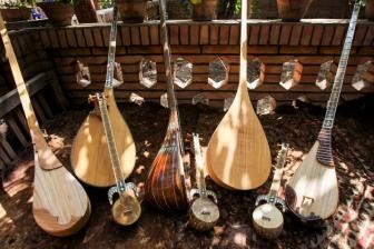 发展民族乐器产业 奏响乡村振兴乐章