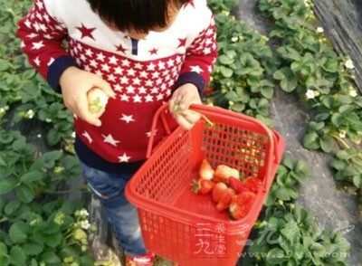 草莓既能养肝，又是去肝火的高手