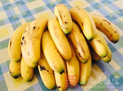 芭蕉含有更为丰富的膳食纤维和大量的水溶性植物纤维