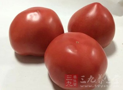 未成熟的西红柿含生物碱，人食用后常感到不适