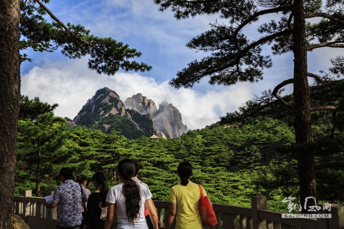 走在黄山的山路上，一抬头皆是奇景