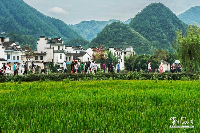 10-《稻禾飘香游人如织》—优美的马头墙多见于乡村，而在繁华的都市中，马头墙则极为少见。城里人利用节假日到乡村游览观赏。DSC_1725副本副本