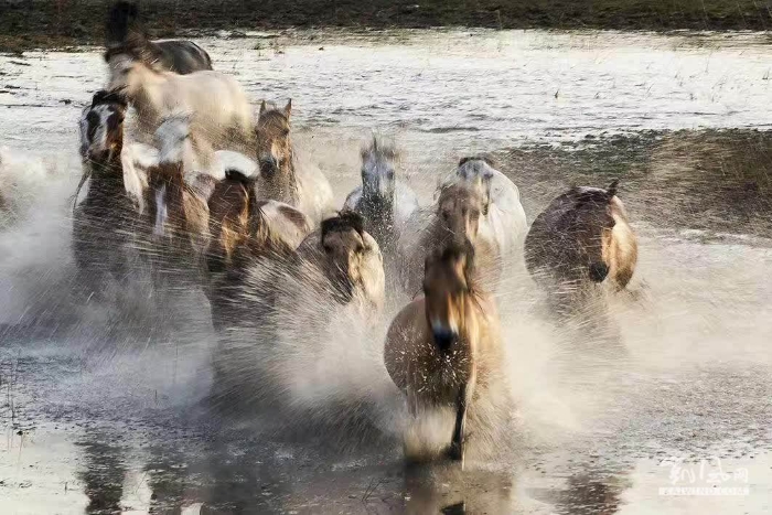 717889702580809522