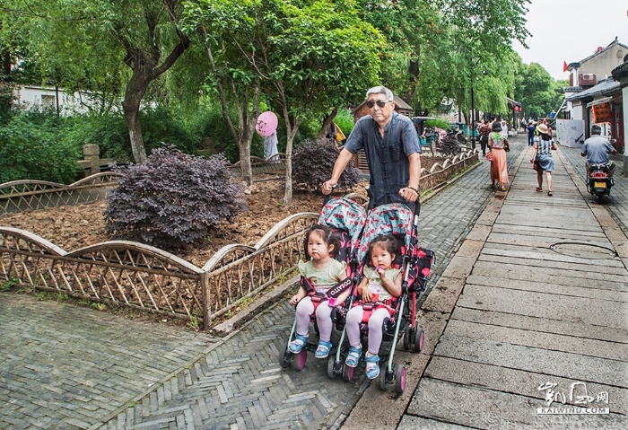 07-在绿树林中，新人拍婚纱照，老人携着孙辈荡漾，尽享木渎人幸福的慢生活。DSC_0994