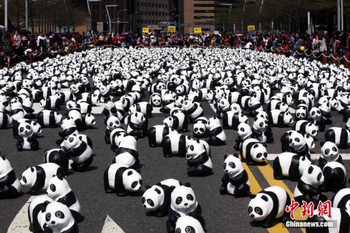 2月28日中午时分，一项台北街头封街举行的纸熊猫展，仍吸引大批民众到场观赏。