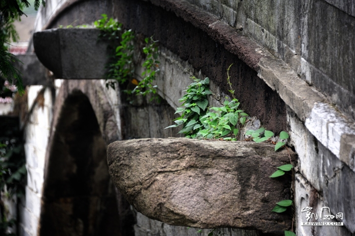 万安桥两侧石块缝隙中的绿色植物充分说明了它悠长的历史。