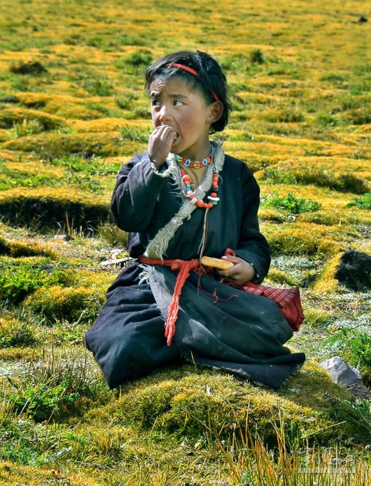 淳朴可爱的藏区人_凯风印象