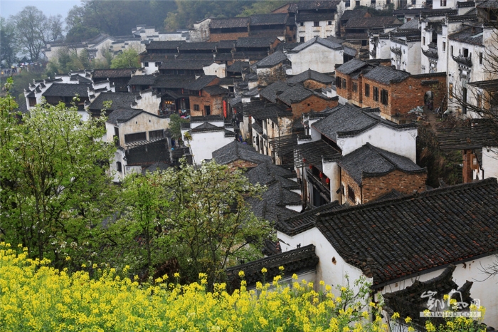 挂在山崖上的村庄-篁岭