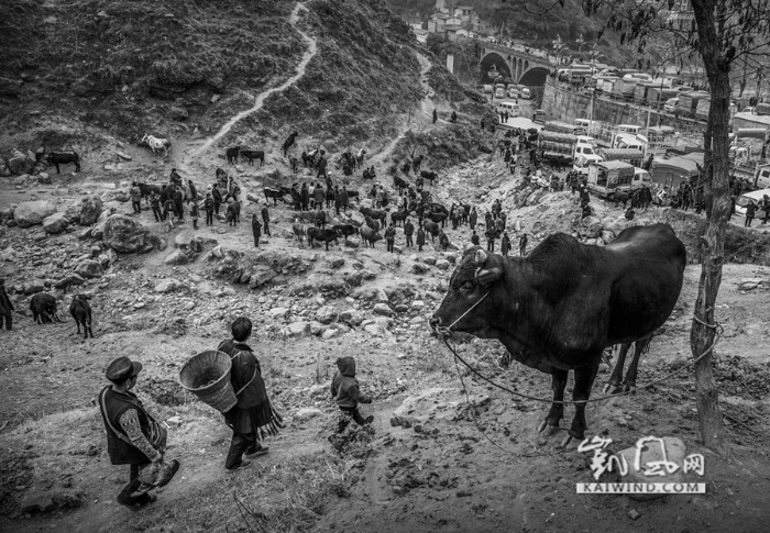 用镜头讲述大凉山深处的真实生活