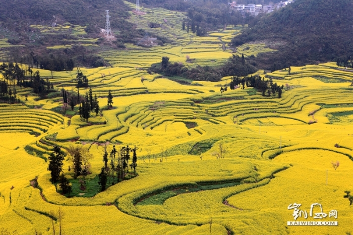 牛街“螺丝田”是由串珠岩溶漏斗地质地貌构成的自然景观