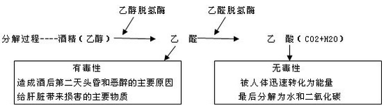 别人千杯不醉你一杯就倒？论提高酒量的正确姿势