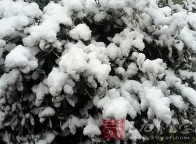 东北和西北有些地区已进入冬季，俨然一派白雪飘飘的冬天景象