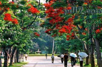 中国最美大学Top2：厦门大学