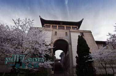 中国最美大学Top1：武汉大学