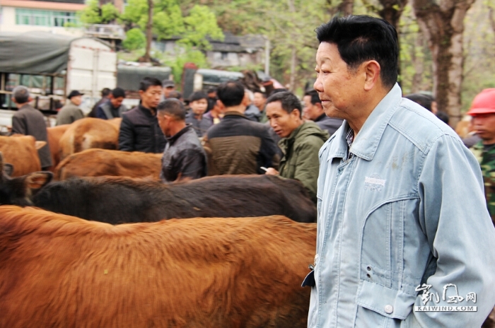 姚绍全：资格最老的牛经纪（一）