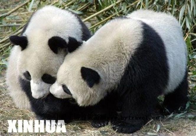 点击查看下一页
