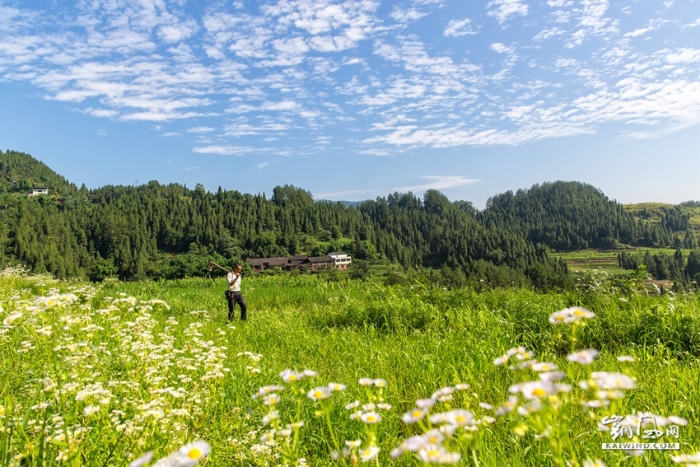 摄影师眼里的田园