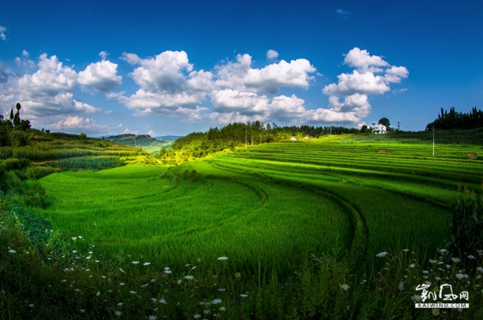 摄影师眼里的田园