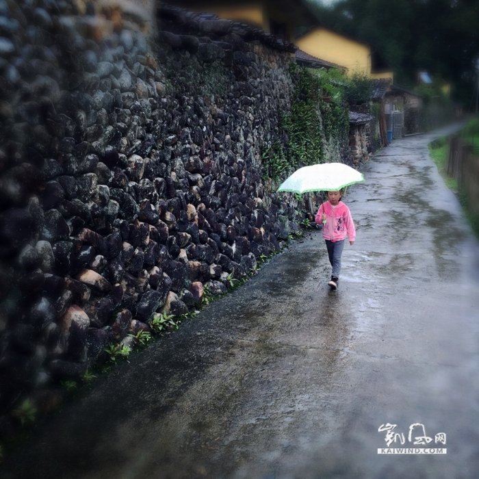 根底砚村：竹海深处有人家