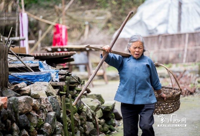 布袋坑村：古老村落的乡土味道