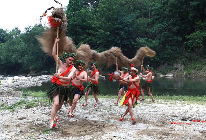 神秘狂野的勉县五节龙