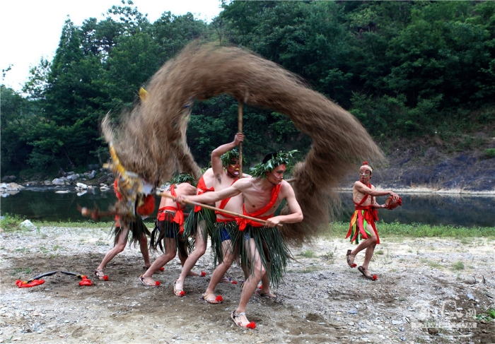 神秘狂野的勉县五节龙