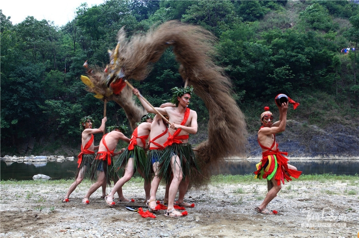 神秘狂野的勉县五节龙