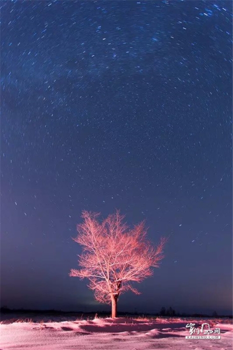 冬之星空