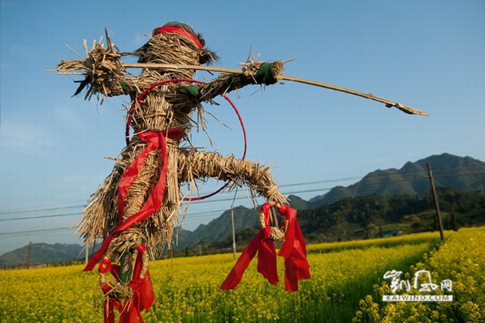 油菜花地演绎西天取经故事