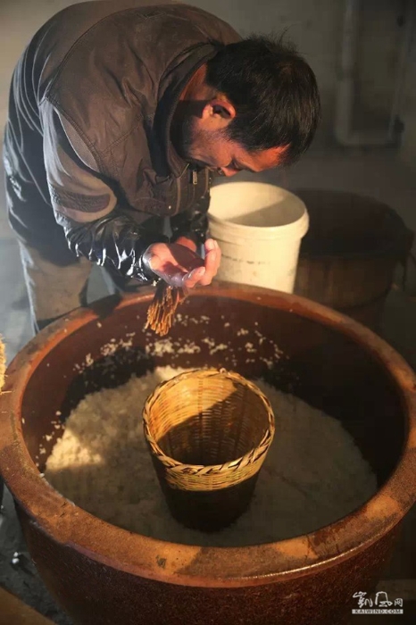 在糯米饭的中心部位放一个酒窝便于观察发酵的变化。