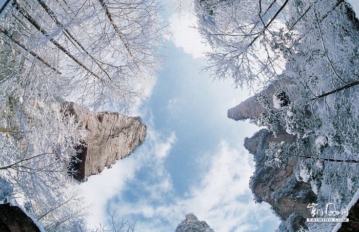 幽谷密境，金鞭刺天