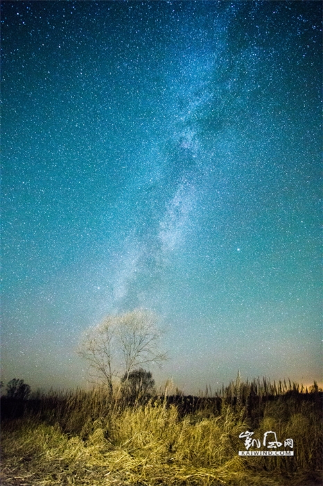 美丽的星空