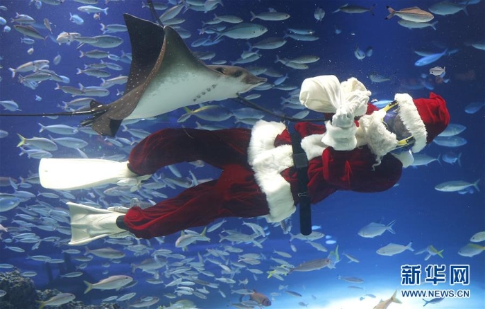 （外代二线）水下“圣诞老人”