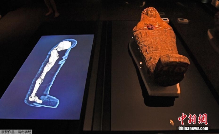 3000年前木乃伊在澳大利亚展出 CT扫描揭示奥秘