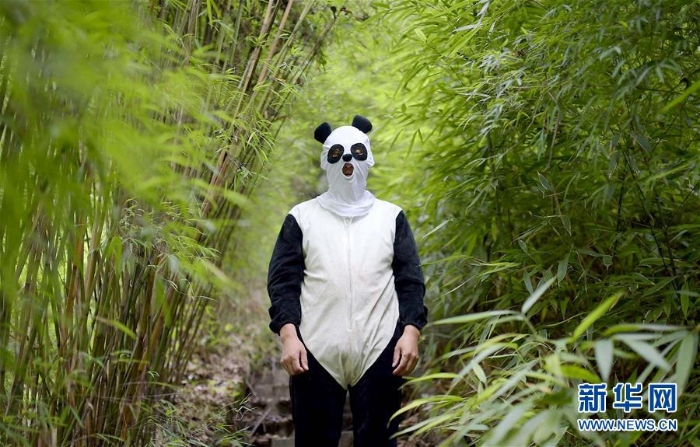 （年终报道）（8）大熊猫这一年的“网红”生活