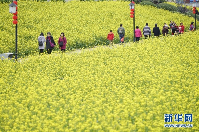 （环境）（1）早春花香醉游人