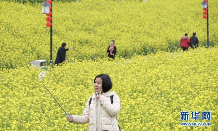 （环境）（2）早春花香醉游人